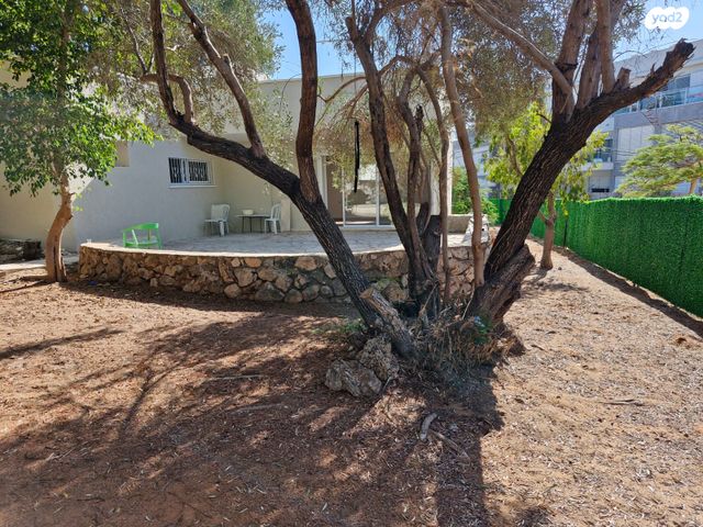 מאיר מקס בינט 14