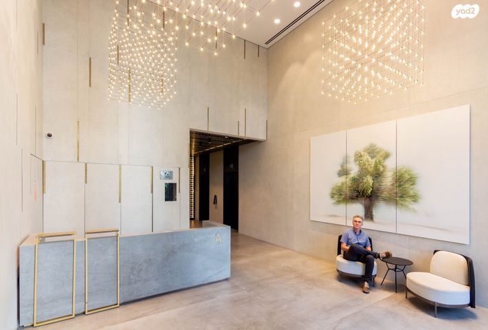 משרדים, פרופ' אברהם פצ'ורניק, שאר העיר, נס ציונה