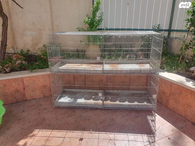 תמונת מודעה - חיות מחמד