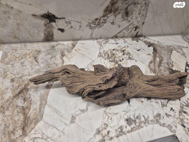 אביזרים | דקורציה לאקווריום