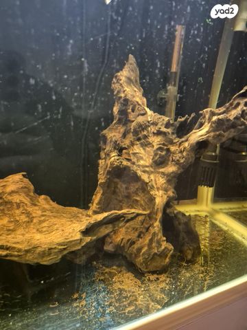 אביזרים | דקורציה לאקווריום