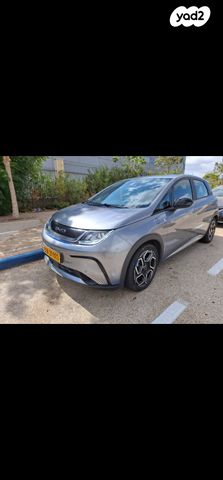 בי.ווי.די דולפין