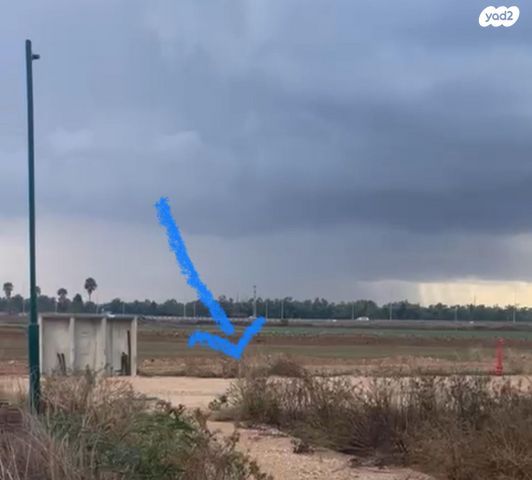 מגרשים, רווחה, רווחה, רווחה