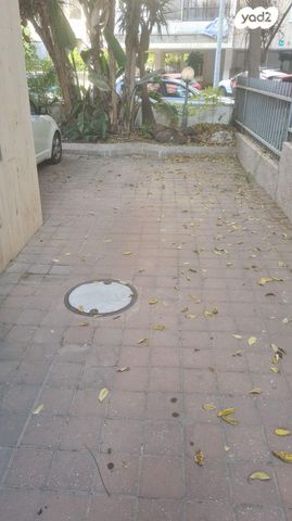 החשמונאים 31