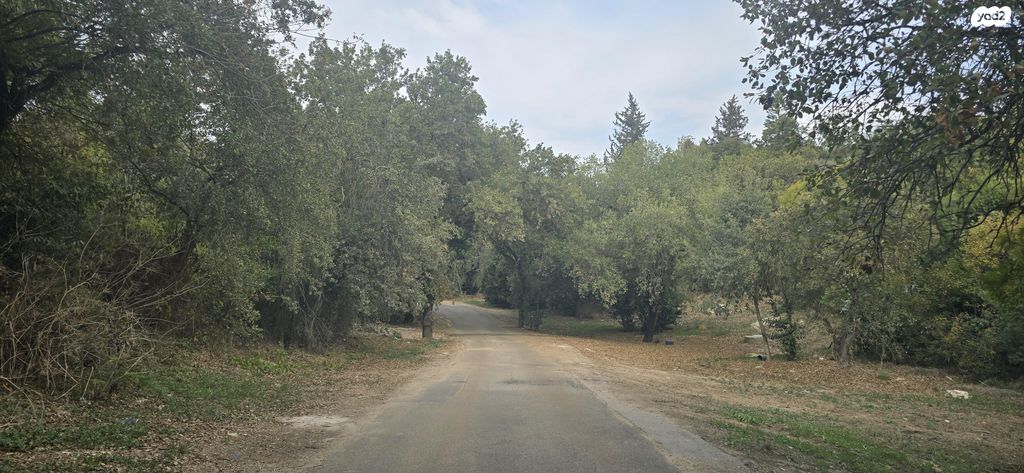 סמטת הגליל 6