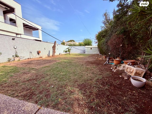 יוסף שפרינצק 