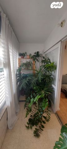 דירה, מבצע סיני 46, רמת יוסף, בת ים