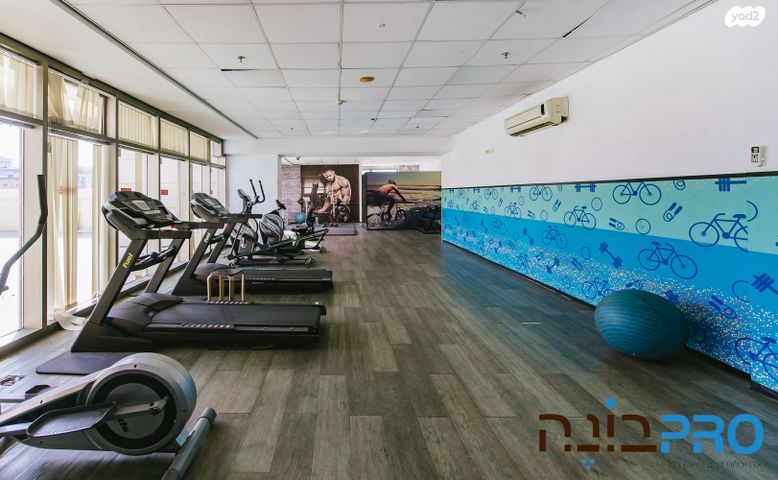 דירה, עין הקורא, אברמוביץ', ראשון לציון