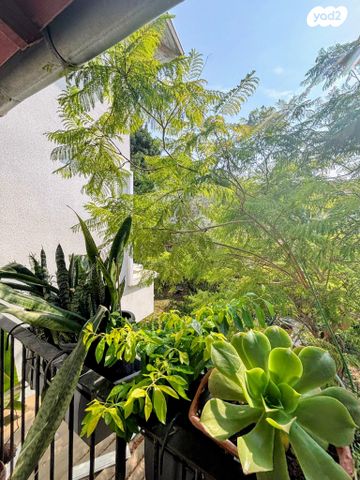 דירה, ד"ר חיים ברודי, רמת אביב, תל אביב יפו