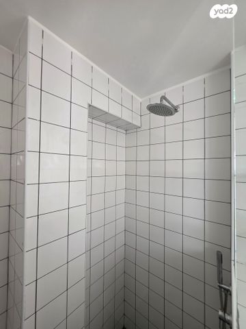 גג/ פנטהאוז, שדרות רוטשילד 117, לב תל אביב, לב העיר צפון, תל אביב יפו