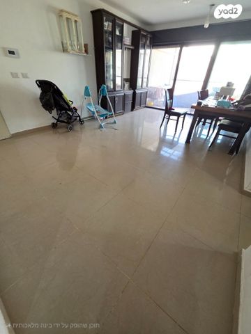 הרב יוסף שלום אלישיב 