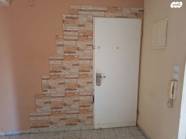 יחיאל מיכל פינס 