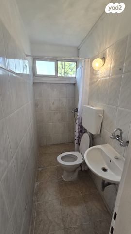 דירה, נתן אלבז, גיורא, טירת כרמל