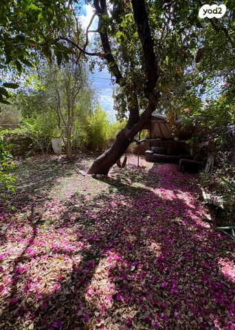 דירת גן, הגפן, טבעון הוותיקה, קרית טבעון