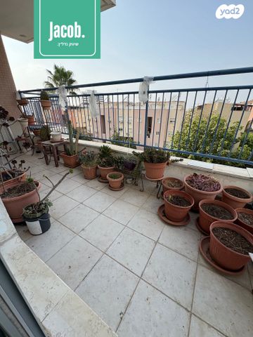 דירה, מעלה נוף, מעלה נוף, טירת כרמל