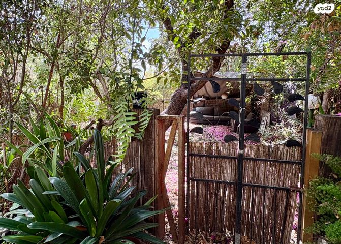 דירת גן, הגפן, טבעון הוותיקה, קרית טבעון