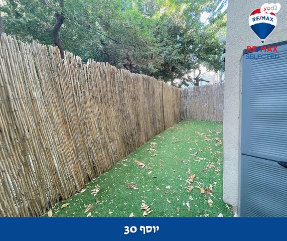 דירה, יוסף, חיפה