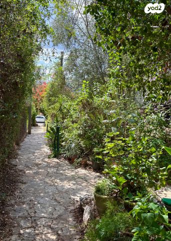 דירת גן, הגפן, טבעון הוותיקה, קרית טבעון