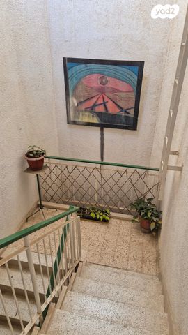 דירה, נחל מישר, צוקי רמון, מצפה רמון