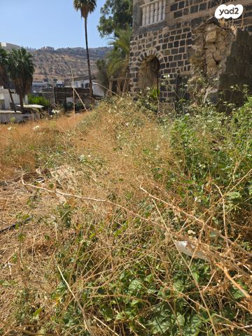 דירה, טבריה