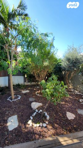 בית פרטי/ קוטג', קרית קריניצי, רמת גן