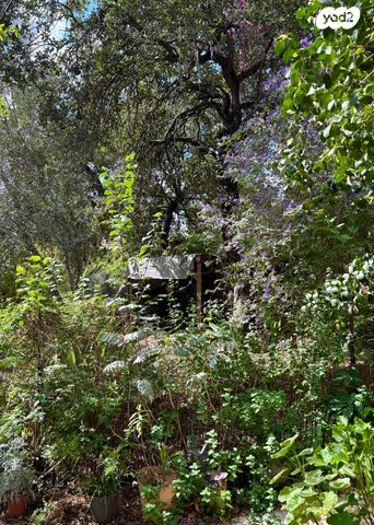 דירת גן, הגפן, טבעון הוותיקה, קרית טבעון