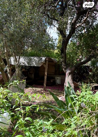 דירת גן, הגפן, טבעון הוותיקה, קרית טבעון