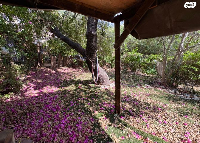 דירת גן, הגפן, טבעון הוותיקה, קרית טבעון