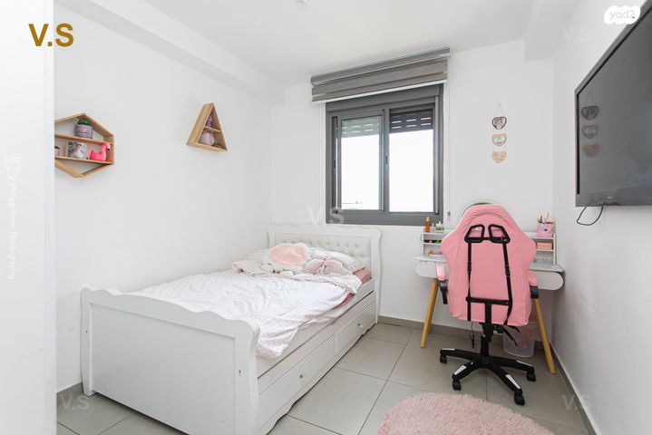 דירה, הגל, החותרים, טירת כרמל