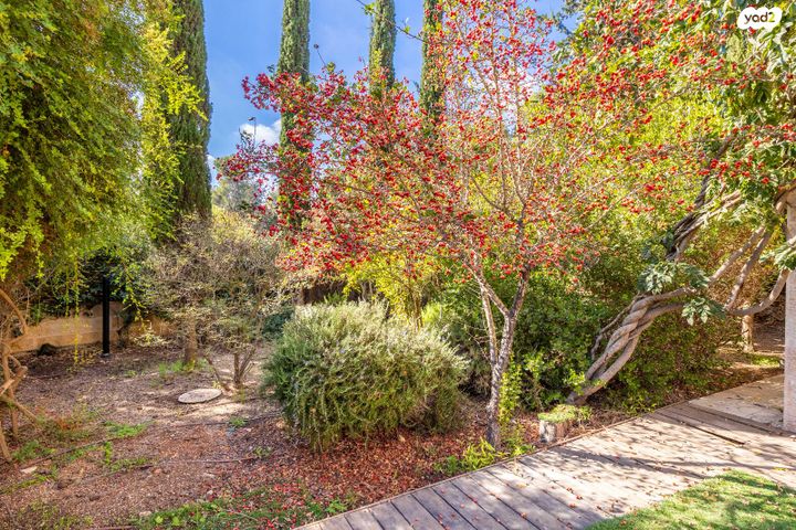 בית פרטי/ קוטג', שכונה א', מבשרת ציון