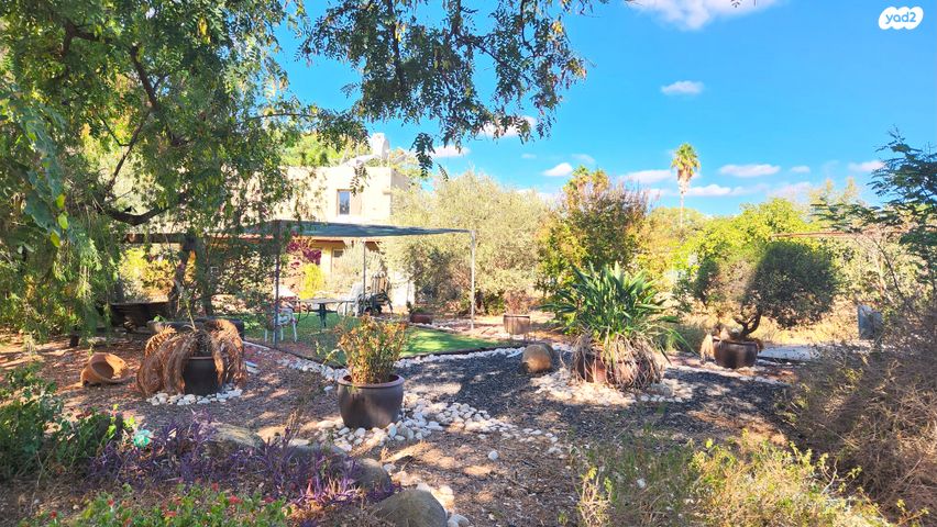 משק חקלאי/ נחלה, שדמות דבורה