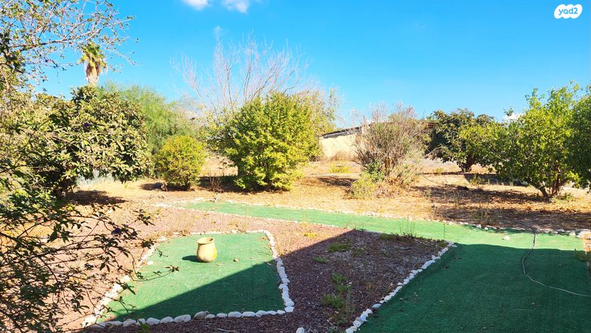 משק חקלאי/ נחלה, שדמות דבורה