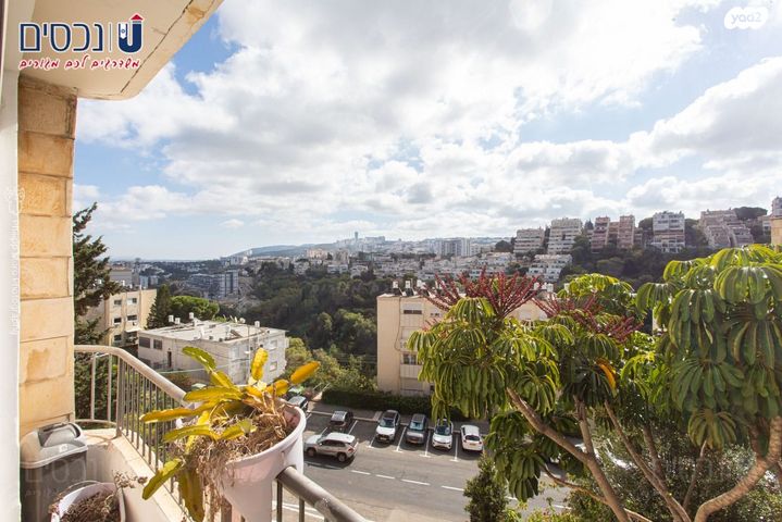 דירה, כרמל מרכזי - שד' קיש, חיפה