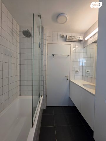 גג/ פנטהאוז, שדרות רוטשילד 117, לב תל אביב, לב העיר צפון, תל אביב יפו