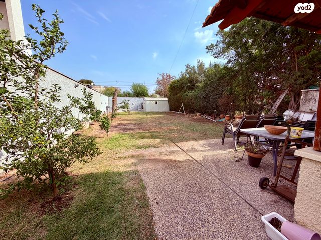 יוסף שפרינצק 