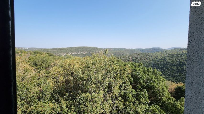 דירה, החשמונאים, יצחק רבין, מעלות תרשיחא