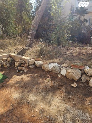 דירה, ענתות, כרמל צרפתי, חיפה