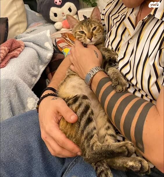 תמונת מודעה - חיות מחמד