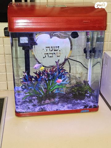 תמונת מודעה - חיות מחמד