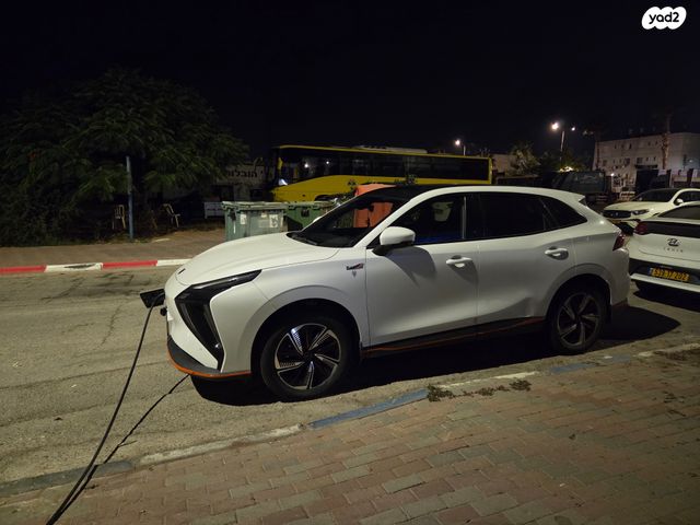 פורתינג פריידי