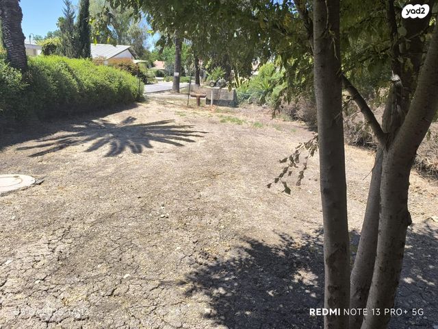 בית פרטי/ קוטג', דרך האשל 1, רמת דוד, רמת דוד