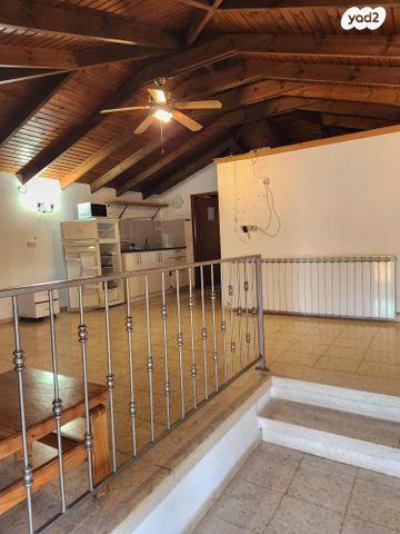 עמיקם שמאי 49