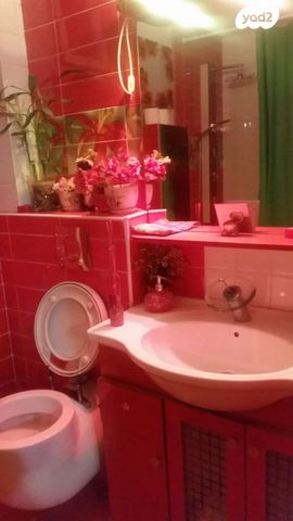 נתיב חטיבת גולני 14