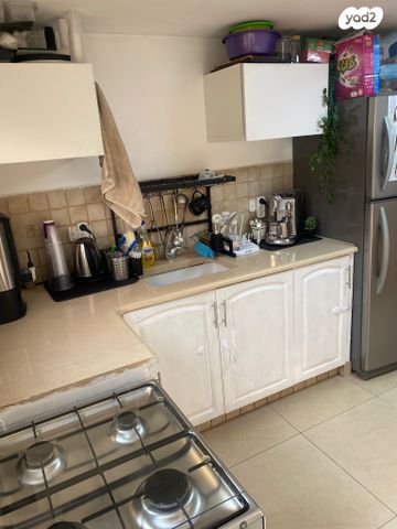 שבטי ישראל 31