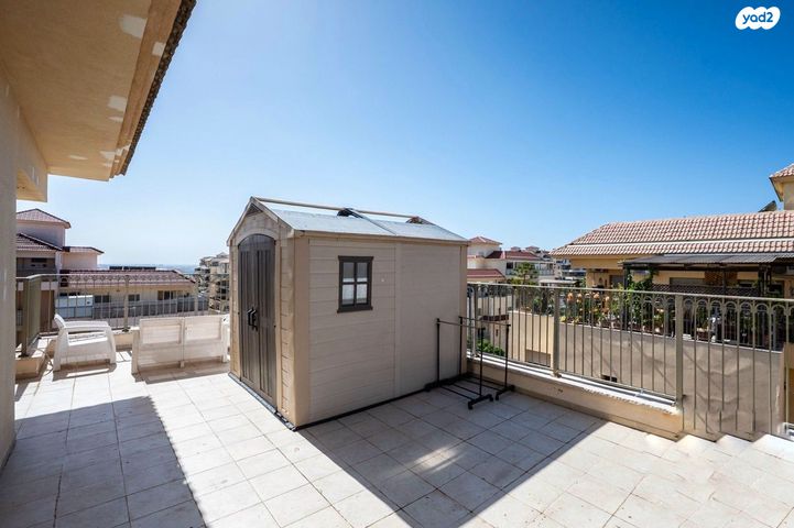 דירה, דרור 11, חלומות זכרון, זכרון יעקב