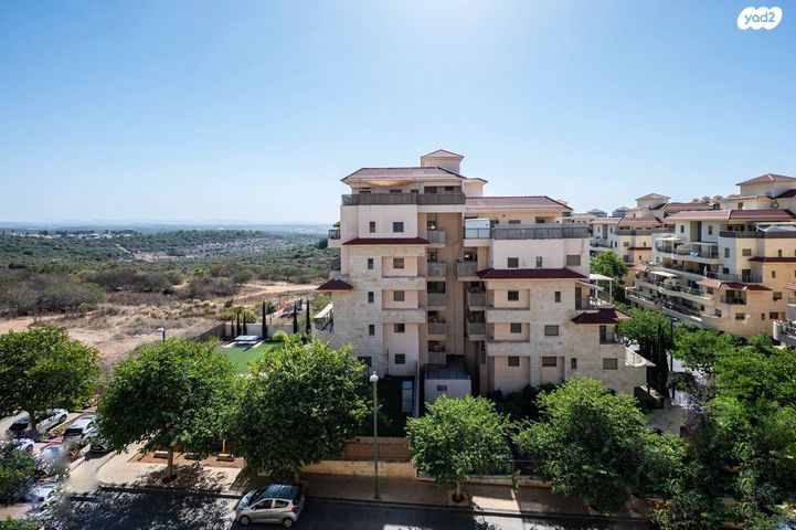 דירה, דרור 11, חלומות זכרון, זכרון יעקב