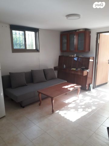 אקליפטוס 117