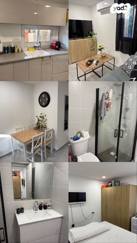 מקור החסידה 1