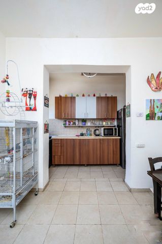 דירה, דרור 11, חלומות זכרון, זכרון יעקב