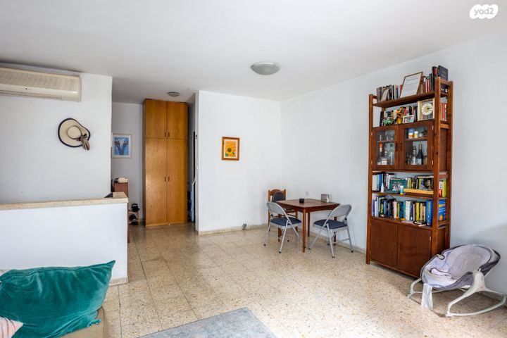 אלכסנדריון 